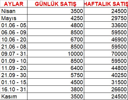 Açıklayıcı metin